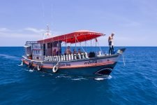 Koh Tao Thaïlande, Calypso Diving